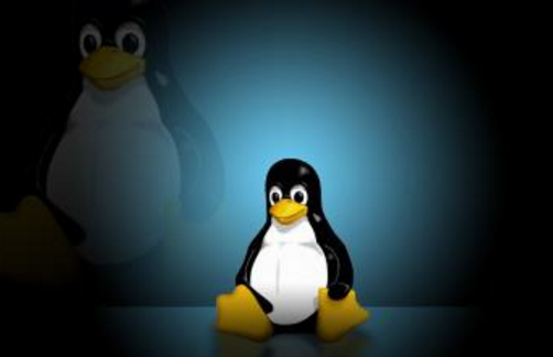 Linux云计算项目实战操作