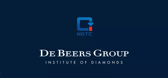 De Beers Group  Polished Diamond Grading  Certificate