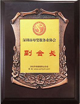 公司荣誉