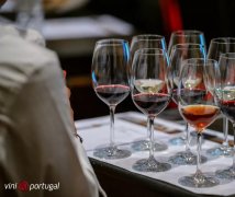 济南 葡萄牙葡萄酒协会官方初级课程