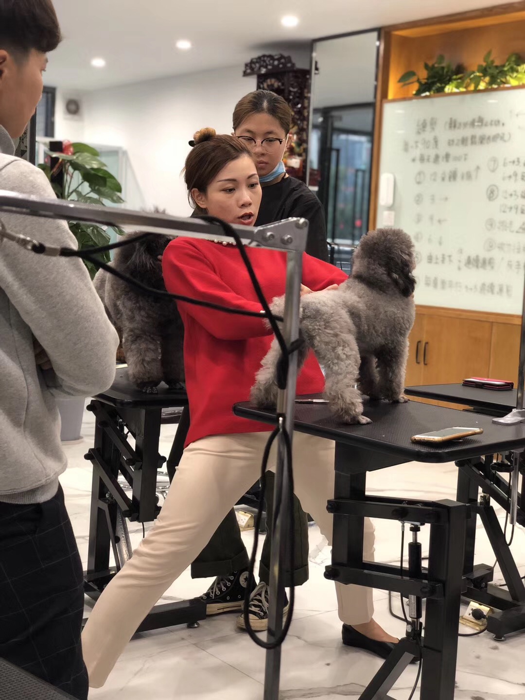 课堂教学