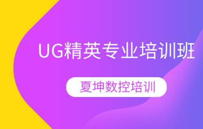 UG精英专业培训班