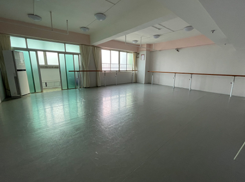 凤凰艺术舞蹈环境-芭蕾舞蹈室