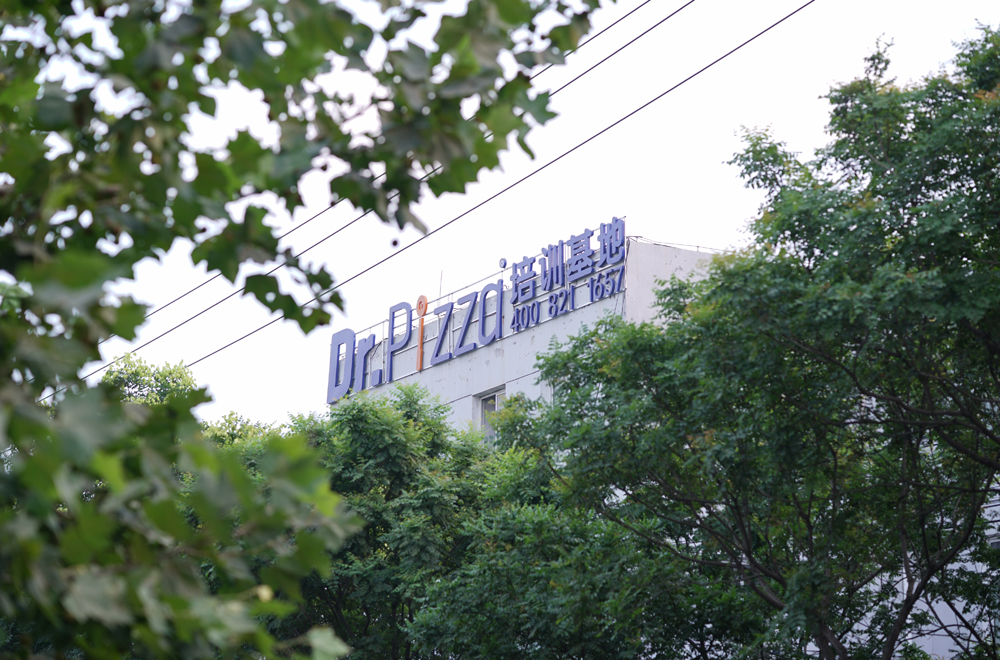 北京Dr.Pizza比萨学校