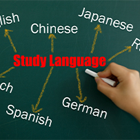 外语学习