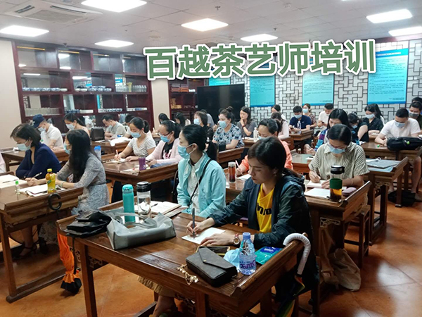 茶艺师培训