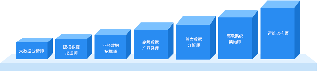 发展路径