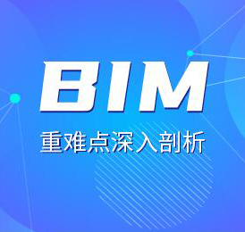 BIM技能培训