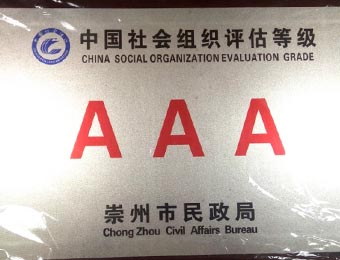 中国社会组织评估等级三A