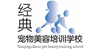 南京经典宠物美容专业培训中心