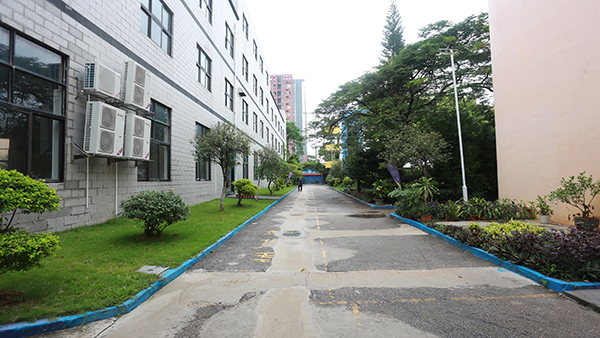 學校校道