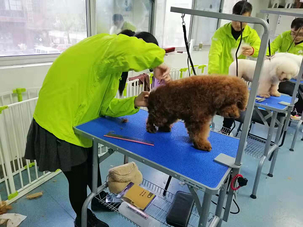 学习现场