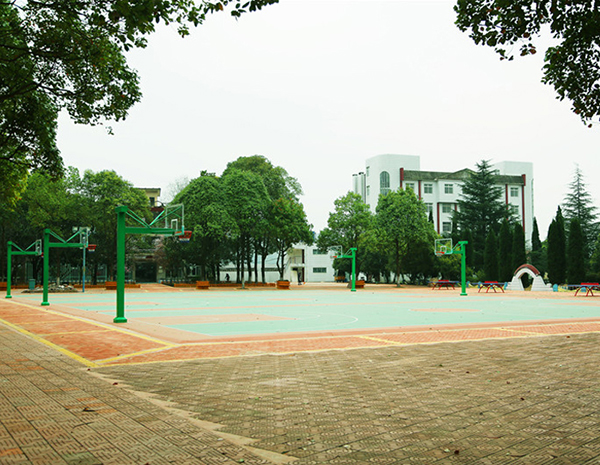 籃球場