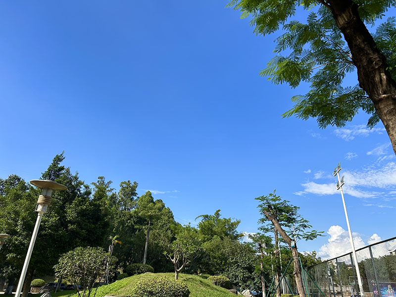 学校环境