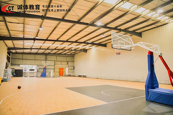 篮球训练场 (2)