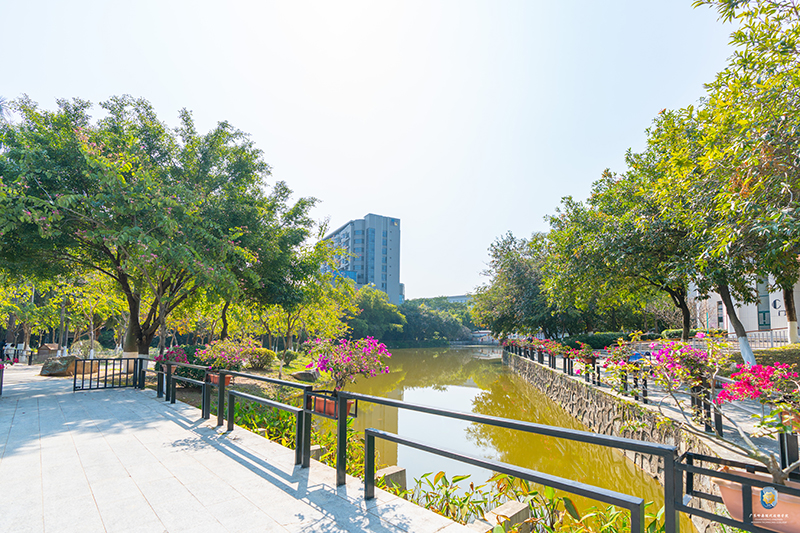 学校环境
