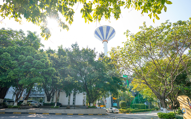 学校环境