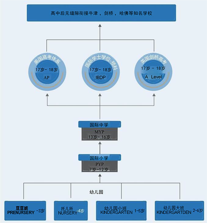 教育体系