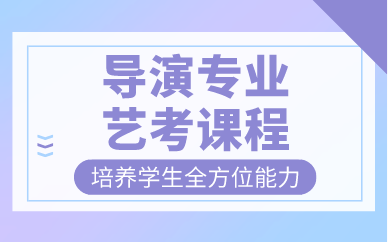 导演专业艺考课程