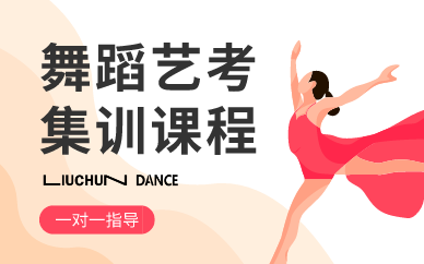 郑州舞蹈艺考集训课程