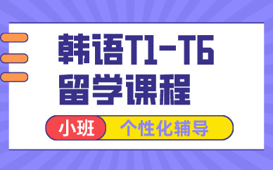 南京韩语T1-T6留学课程