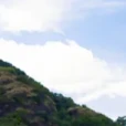 周濤