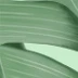 张伟