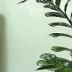 王芳