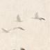 王丽