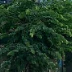 张三