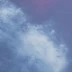 王丽