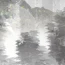 叶先生