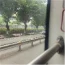 张女士