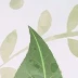 琪琪