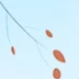 李明