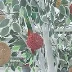 陈明