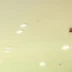 王芳