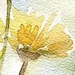 王芳