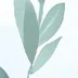 王丽丽