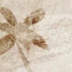 李明