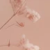 王丽理