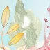 刘佳