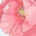 陈芳
