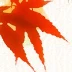 张伟