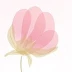 孙芳