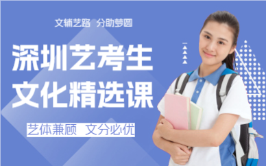 深圳艺考生文化精选课