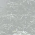 王丽