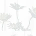 王丽