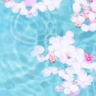 姚同学