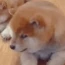 邬先生